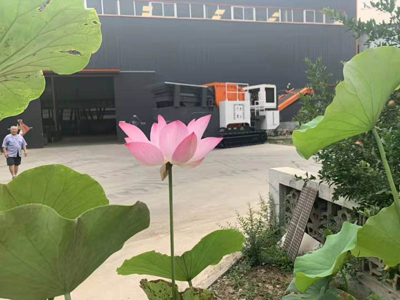 移动式向日葵视频app下载安卓版站
